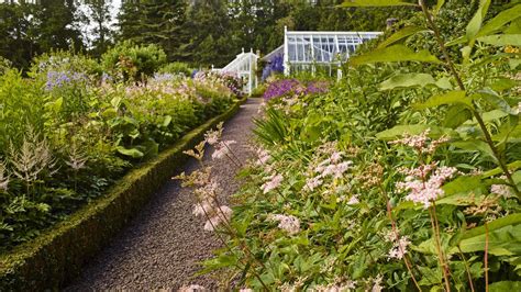 Squash companion planting: 7 of the best and 5 to avoid | Homes and Gardens