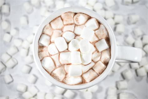 Homemade Hot Cocoa Mix Recipe • baste cut fold