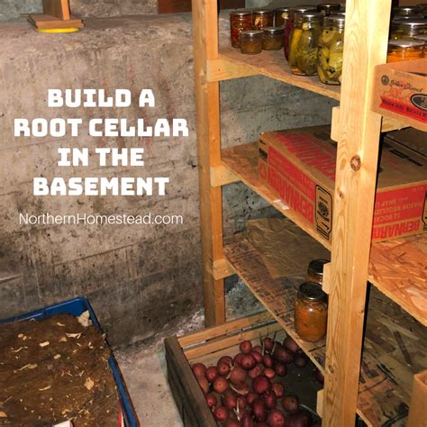 Build a root cellar in the basement - Northern Homestead