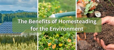 The Benefits of Homesteading for the Environment - 2 Gals Homesteading