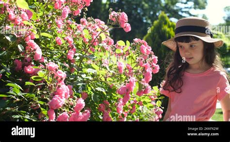 girl saw a bee on a flower, got scared and runs away Stock Video ...