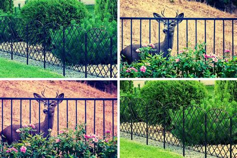 Deer Fence For Garden Or Property | Factors To Consider