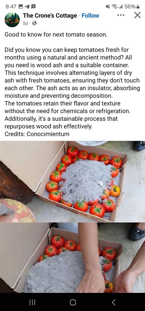 Practical ways to use garden surplus in real food recipes?