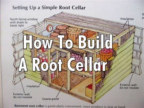 Underground Root Cellar Plans