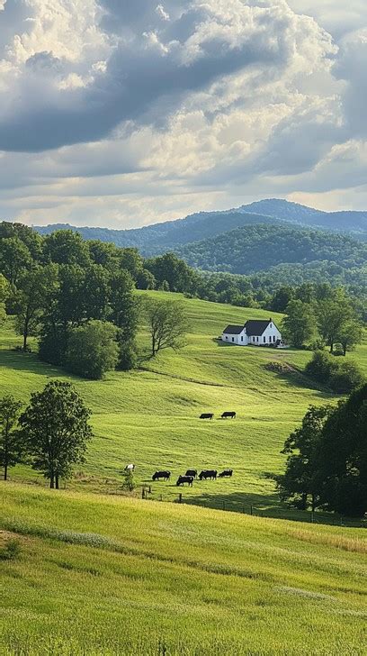 Free Idyllic rural landscape Image | Download at StockCake