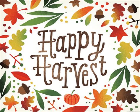 When to harvest & cure homegrown garlic for year-long storage?