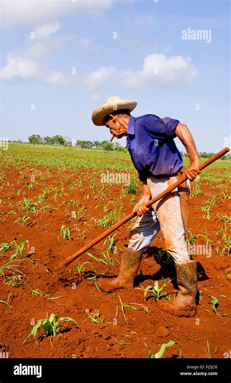 Working in the field hi-res stock photography and images - Alamy