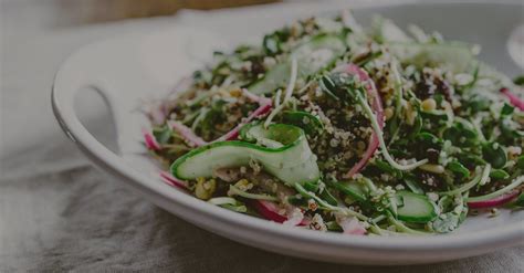 Embrace Food | Balanced Eating Everyday | By Dr Michelle Blumfield