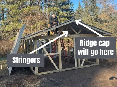 How to Build a Covered Chicken Run (Step-By-Step!)