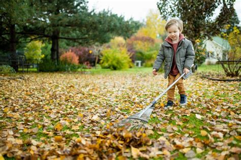 Cute Little Boy Playing with a Garden Rake on Late Autumn Day. Three ...