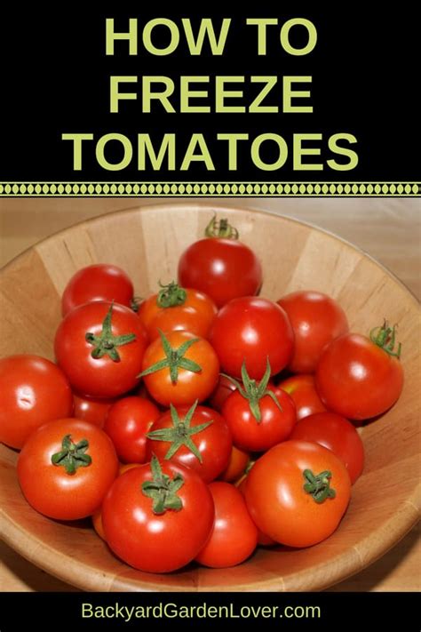 How To Freeze Tomatoes For Winter