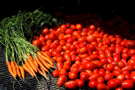 Bountiful Harvest Photograph by Dave Clark - Fine Art America