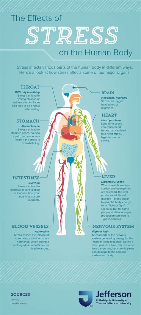 Infographic effects of stress on the human body – Artofit