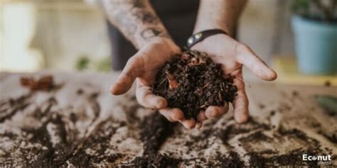 Best Guidance to Improve Drainage in Your Raised Beds