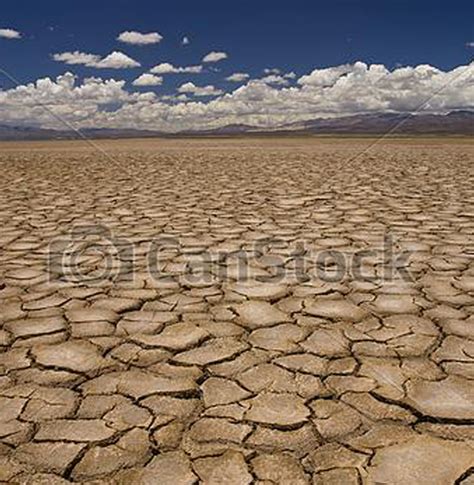 Dry – BestMed Pharmacy