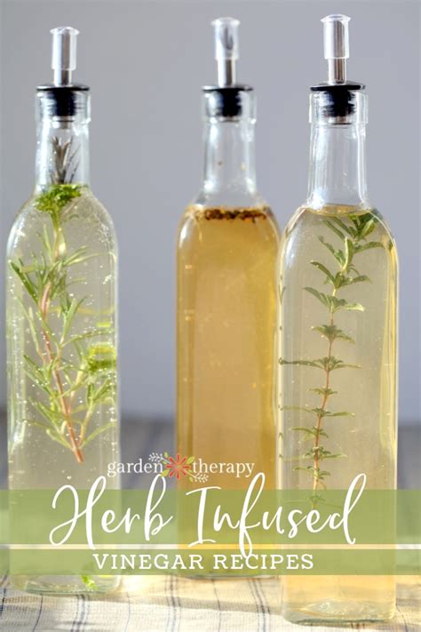 How to Make Infused Vinegar + 3 Easy Recipes to Try Now