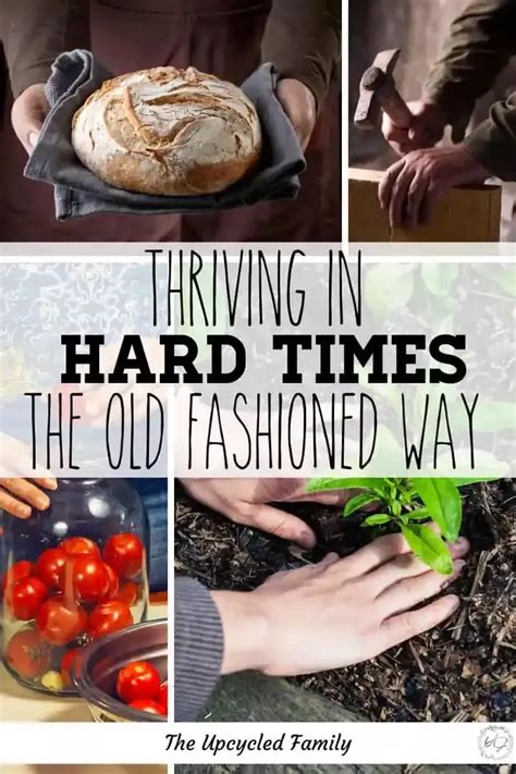 Homesteading living and thriving in challenging times – Artofit