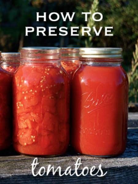 How to preserve garden tomatoes for winter sauce without canning?