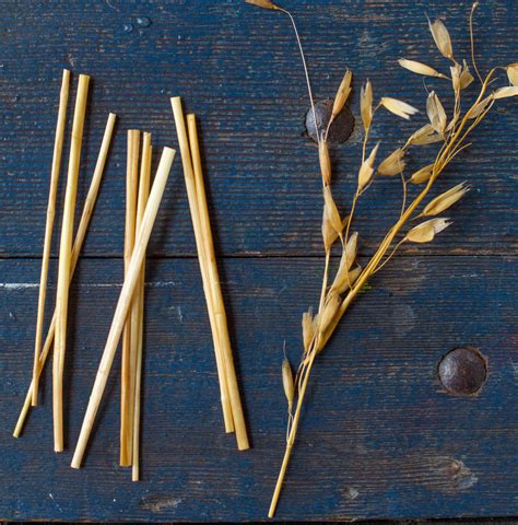 How to Make Straw Star Ornaments – Together Blog – from Nova Natural