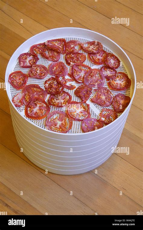 Stacked trays of tomato slices being dehydrated Stock Photo - Alamy