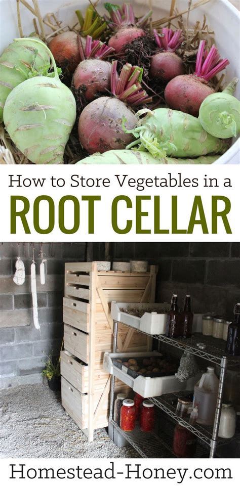 Vegetable Storage in a Root Cellar | Homestead Honey | Root cellar ...