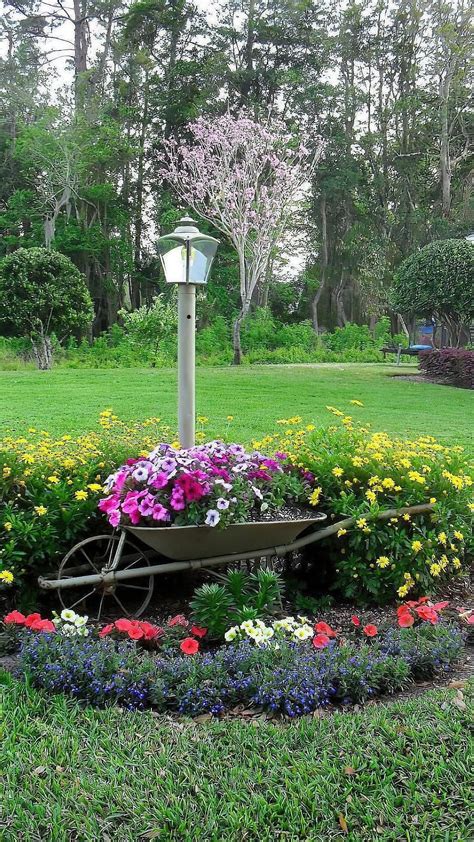 Top tips for a thriving organic garden – Artofit