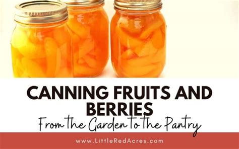 Approved Canning Methods