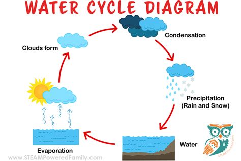 A Simple and Powerful Water Cycle Lesson