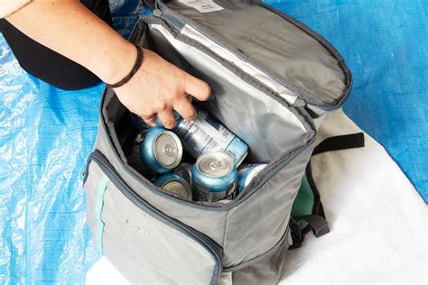 The 9 Best Insulated Cooler Bags, Tested and Reviewed