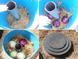 Root Cellar Ideas | The Owner-Builder Network