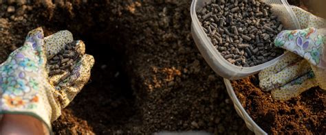 Organic Amendments: How to Boost Your Soil and Increase Yields