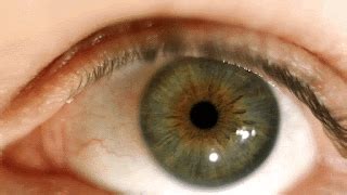 How do you authentically share messy recipe tests or farm garden fails behind-the-scenes?