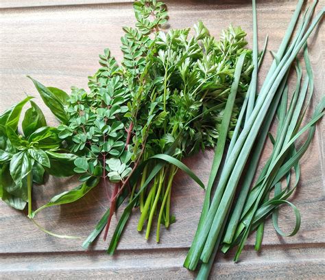 Herbs Culinary Salad - Free photo on Pixabay - Pixabay