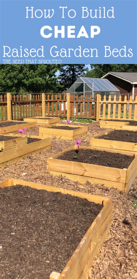 How to build raised garden beds for soil health on a budget?
