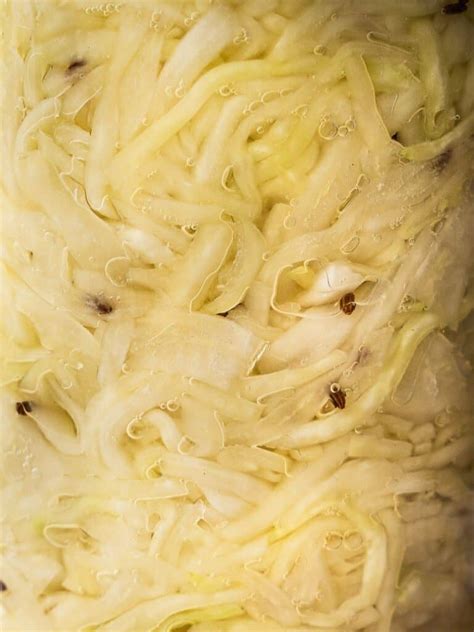 Sauerkraut Recipe (Complete Guide to Fermenting Cabbage) - Urban Farm ...