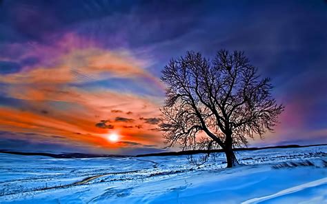Beautiful Winter Wallpaper ·① WallpaperTag