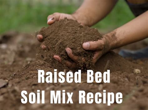 Raised Bed Soil Mix Recipe - Learn To Grow Gardens
