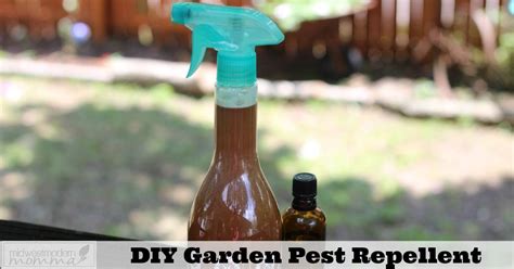 Natural pest control spray for your garden – Artofit