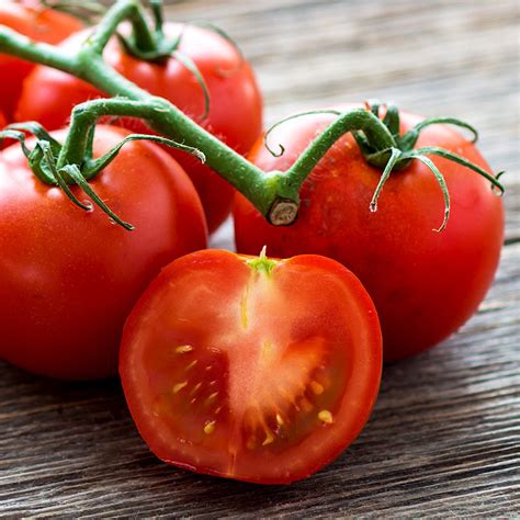 Tomato Brief Description at Samantha Sternberg blog