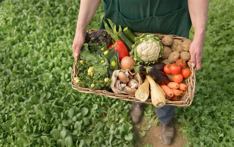 What is organic food and what does organic mean?