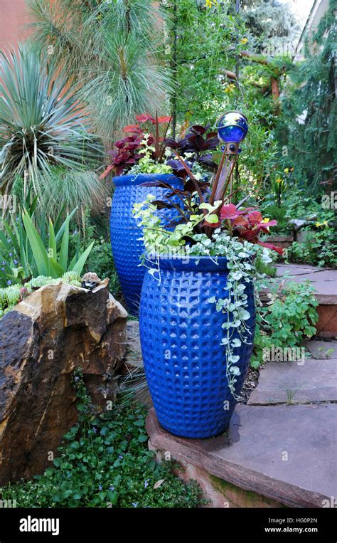 Blue garden vases with plant Stock Photo - Alamy