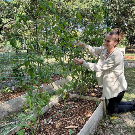 How to Layer a Raised Garden Bed and Make a Trellis