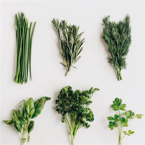 How To Keep Herbs Fresh - MyKitchen