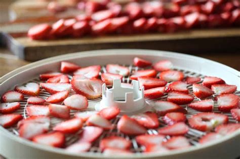 Dehydrating Strawberries- How To Preserve Your Harvest - Farmhouse &amp; Blooms