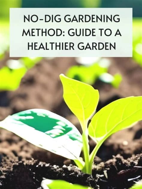 No-Dig Gardening Method: Guide to A Healthier Garden - It's Me Lady G