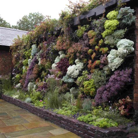 18 Clay Soil Garden Ideas That Actually Work