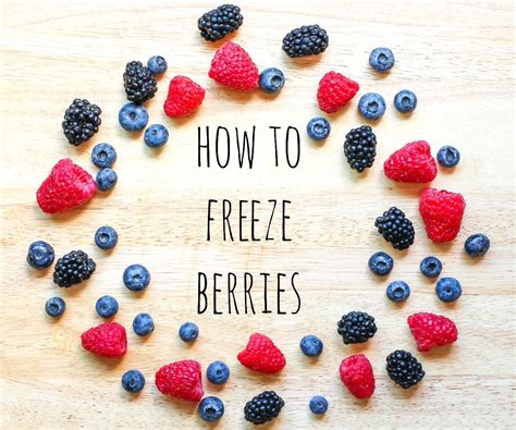 How to Freeze Berries : 5 Steps (with Pictures) - Instructables