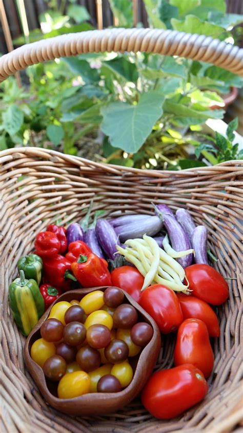 Pin on English language learning