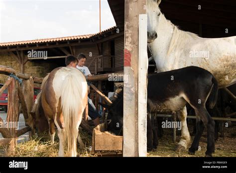 Children in country ranch Stock Photo - Alamy