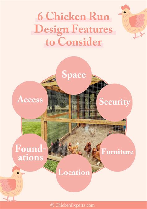 6 Chicken Run Design Features You Can't Afford to Get Wrong 🤩 ...